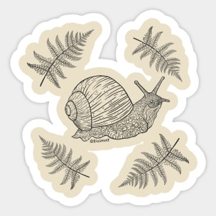 Snail with ferns Sticker